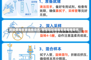 新冠病毒变异毒株命名/新型冠状病毒变异毒株命名