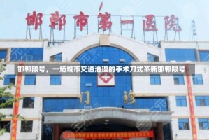 邯郸限号，一场城市交通治理的手术刀式革新邯郸限号