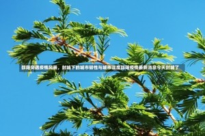 邵阳突遇疫情风暴，封城下的城市韧性与城市温度邵阳疫情最新消息今天封城了