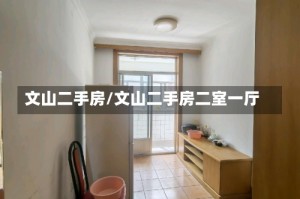 文山二手房/文山二手房二室一厅
