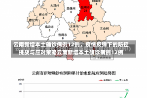 云南新增本土确诊病例12例，疫情反弹下的防控挑战与应对策略云南新增本土确诊病例12例