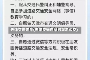 天津交通违章(天津交通违章罚款怎么交)