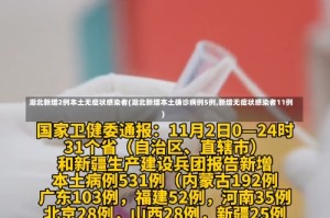 湖北新增2例本土无症状感染者(湖北新增本土确诊病例5例,新增无症状感染者11例)