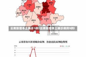 云南新增本土确诊1例/云南新增本土确诊病例9例l