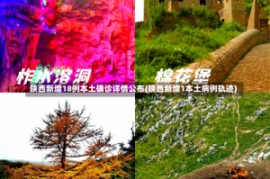 陕西新增18例本土确诊详情公布(陕西新增1本土病例轨迹)