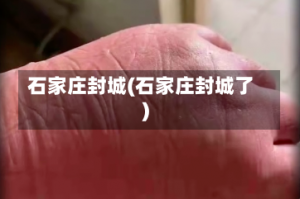 石家庄封城(石家庄封城了)