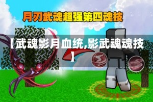 【武魂影月血统,影武魂魂技】