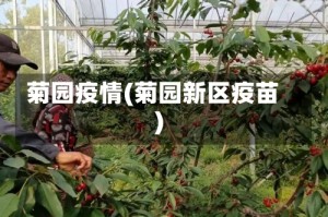 菊园疫情(菊园新区疫苗)