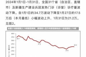 全国31省新增输入19例新冠病例，疫情输入压力与防控新挑战31省新增输入19例