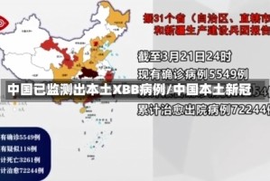 中国已监测出本土XBB病例/中国本土新冠