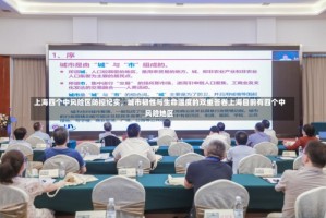上海四个中风险区防控纪实，城市韧性与生命温度的双重答卷上海目前有四个中风险地区