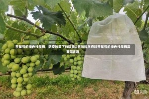 带星号的绿色行程码，防疫政策下的隔离边界与科学应对带星号的绿色行程码需要隔离吗
