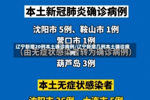 辽宁新增20例本土确诊病例/辽宁新增几例本土确诊病例