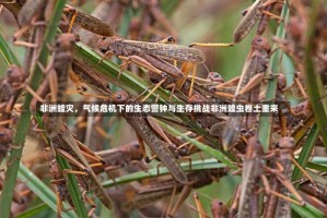 非洲蝗灾，气候危机下的生态警钟与生存挑战非洲蝗虫卷土重来