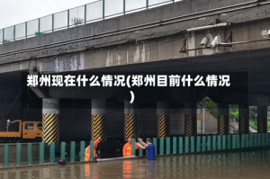 郑州现在什么情况(郑州目前什么情况)