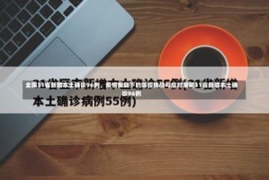 全国31省新增本土确诊96例，疫情反复下的防控挑战与应对策略31省新增本土确诊96例