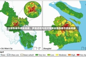 全国各城市感染高峰，多维透视与应对策略全国各城市感染高峰