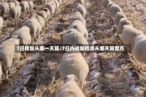7日核酸从哪一天算/7日内核酸检测从哪天算官方