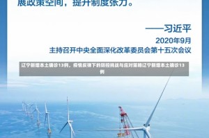 辽宁新增本土确诊13例，疫情反弹下的防控挑战与应对策略辽宁新增本土确诊13例