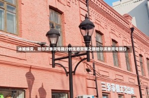 冰城蝶变，哈尔滨单双号限行的生态觉醒之路哈尔滨单双号限行