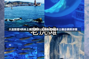 大连新增9例本土确诊病例/大连新增9例本土确诊病例详情