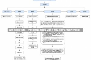 吉林松原新屯村，中风险地区的转型之路吉林松原新屯村调为中风险