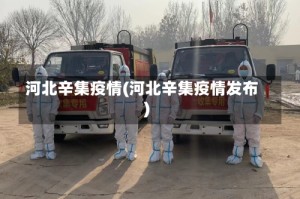 河北辛集疫情(河北辛集疫情发布)