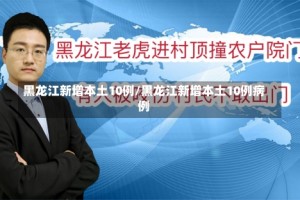 黑龙江新增本土10例/黑龙江新增本土10例病例