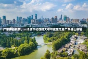 广东佛山疫情，一场城市韧性的大考与重生之路广东佛山疫情