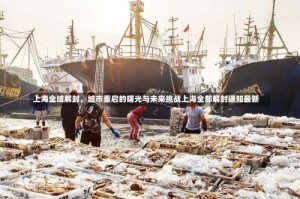 上海全域解封，城市重启的曙光与未来挑战上海全部解封通知最新