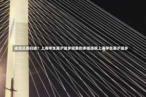 逆流还是归途？上海学生离沪返乡现象的多维透视上海学生离沪返乡