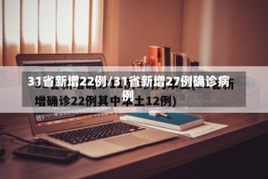 31省新增22例/31省新增27例确诊病例