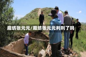 廊坊张元元/廊坊张元元判刑了吗