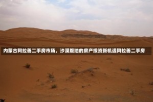 内蒙古阿拉善二手房市场，沙漠腹地的房产投资新机遇阿拉善二手房