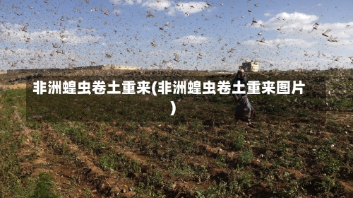 非洲蝗虫卷土重来(非洲蝗虫卷土重来图片)-第1张图片