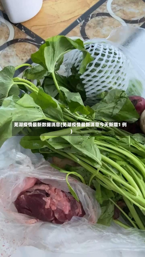 芜湖疫情最新数据消息(芜湖疫情最新消息今天新增1 例)-第2张图片