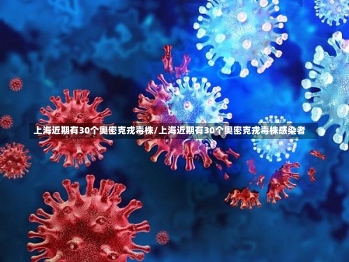 上海近期有30个奥密克戎毒株/上海近期有30个奥密克戎毒株感染者-第1张图片