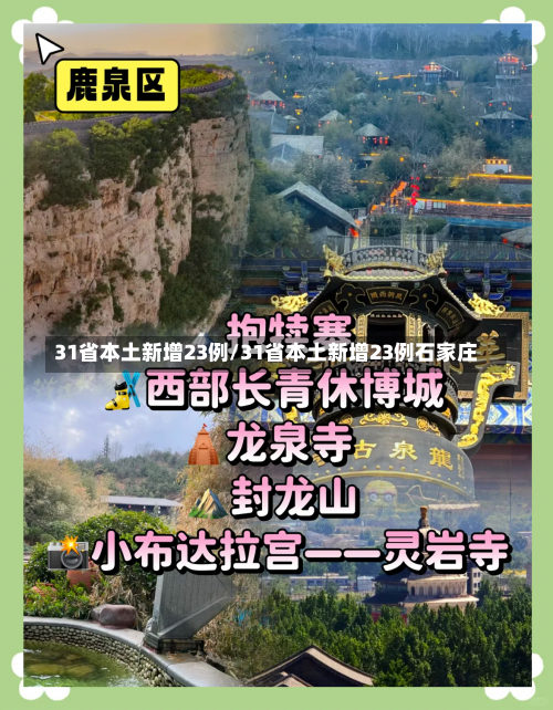 31省本土新增23例/31省本土新增23例石家庄-第2张图片