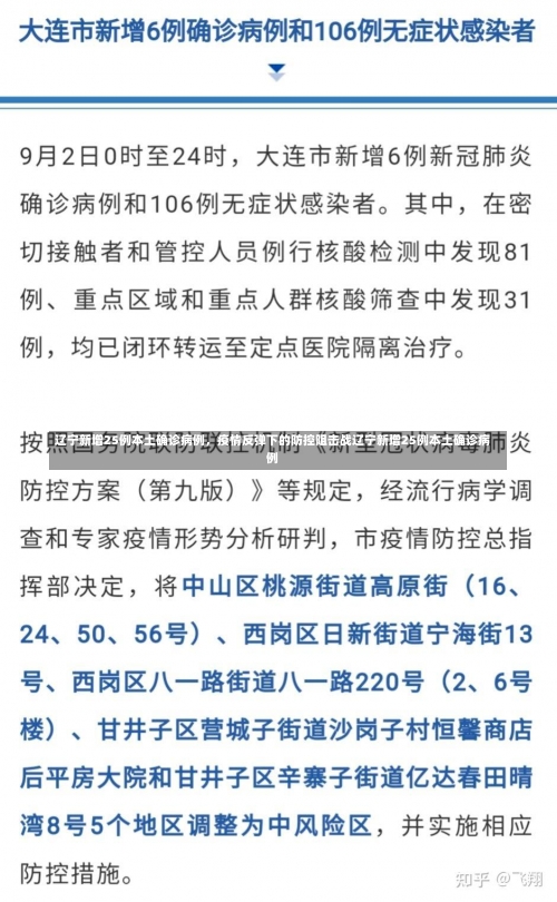 辽宁新增25例本土确诊病例，疫情反弹下的防控阻击战辽宁新增25例本土确诊病例-第1张图片