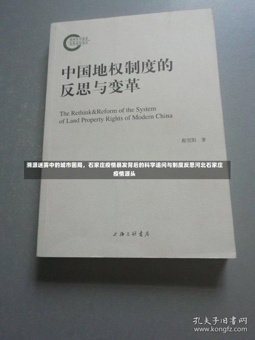 溯源迷雾中的城市困局，石家庄疫情暴发背后的科学追问与制度反思河北石家庄疫情源头-第1张图片