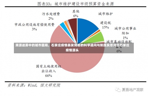 溯源迷雾中的城市困局	，石家庄疫情暴发背后的科学追问与制度反思河北石家庄疫情源头-第2张图片