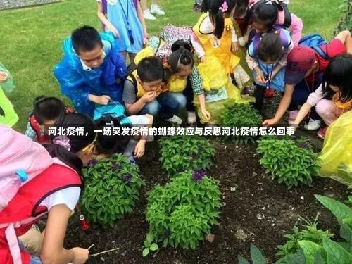 河北疫情	，一场突发疫情的蝴蝶效应与反思河北疫情怎么回事-第1张图片