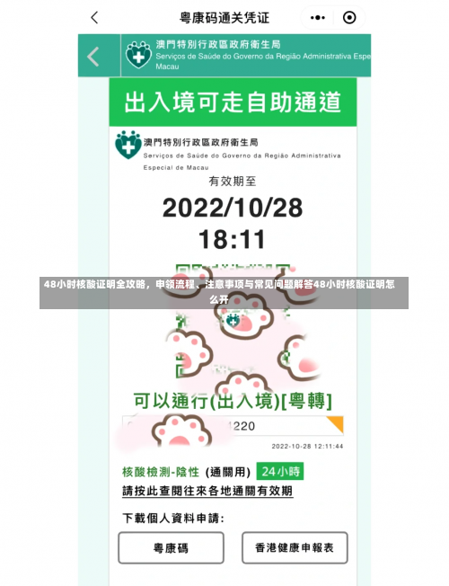 48小时核酸证明全攻略，申领流程、注意事项与常见问题解答48小时核酸证明怎么开-第1张图片