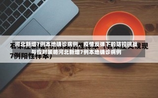 河北新增7例本地确诊病例	，疫情反弹下的防控挑战与应对策略河北新增7例本地确诊病例-第1张图片