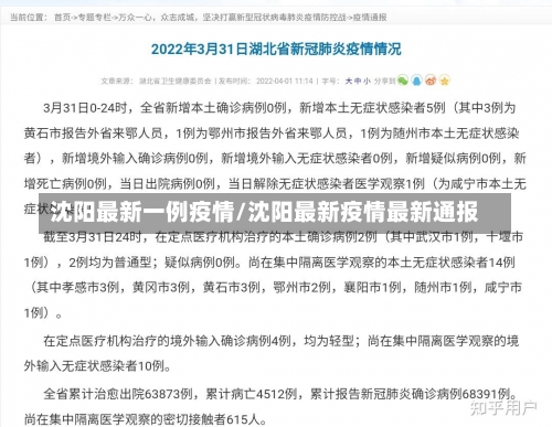 沈阳最新一例疫情/沈阳最新疫情最新通报-第2张图片