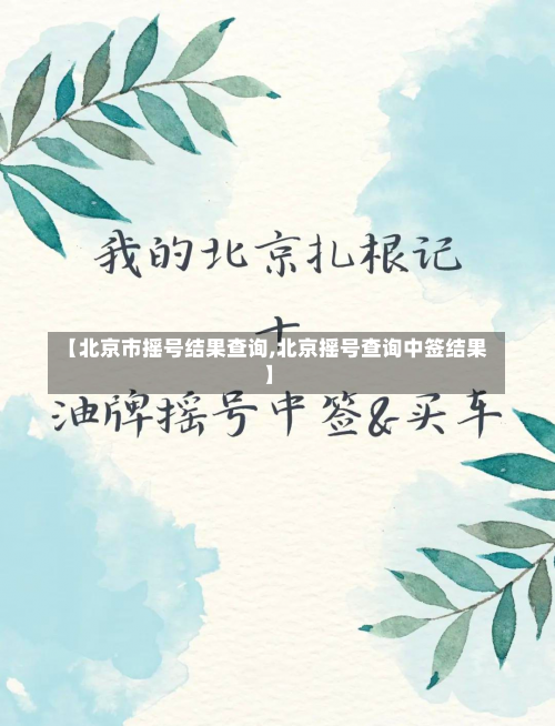 【北京市摇号结果查询,北京摇号查询中签结果】-第1张图片