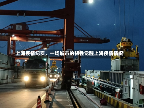 上海疫情纪实，一场城市的韧性觉醒上海疫情情况-第2张图片