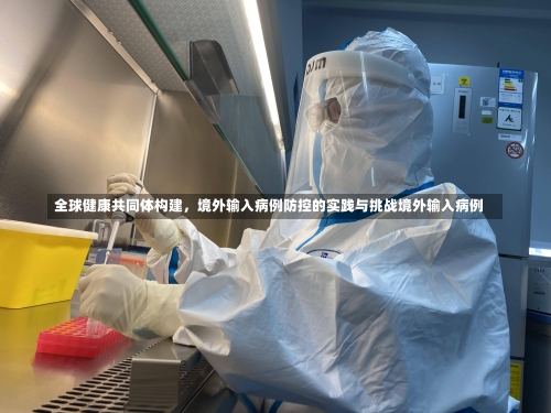 全球健康共同体构建，境外输入病例防控的实践与挑战境外输入病例-第1张图片