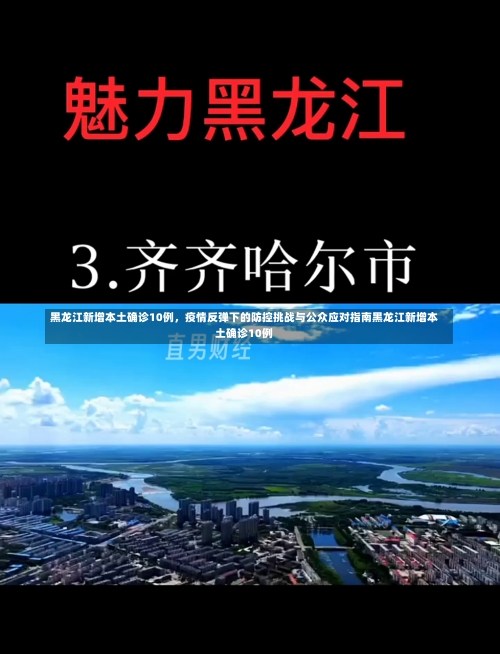 黑龙江新增本土确诊10例，疫情反弹下的防控挑战与公众应对指南黑龙江新增本土确诊10例-第3张图片