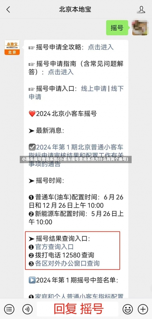 小客车摇号查询系统(小客车摇号查询系统为什么有两个编号)-第2张图片